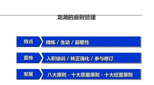 龍湖企業(yè)管理與運(yùn)營精細(xì)化管理